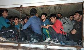 Kırklareli’nde 241 kaçak göçmen yakalandı